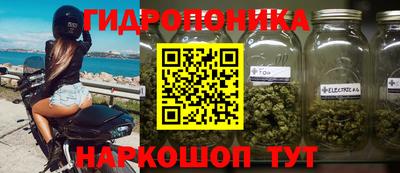 прущие крисы Тула