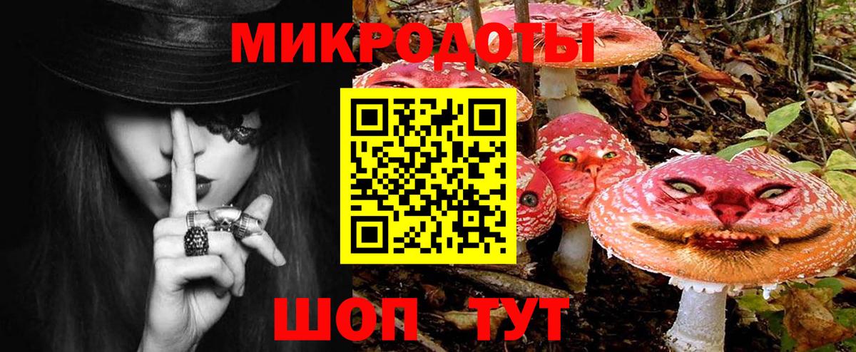 Карасук  как найти закладки  Вход с VPN  Псилоцибиновые грибы Psilocybe 